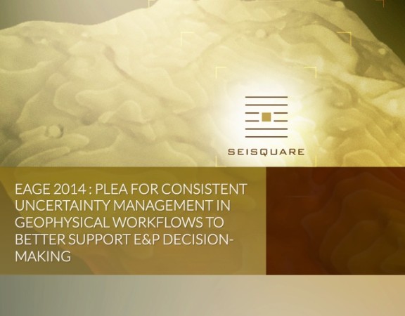 Eage 2014 : Plea For Consistent Uncertainty Management In Geophysical Workflows To Better Support E&P Decision-Making